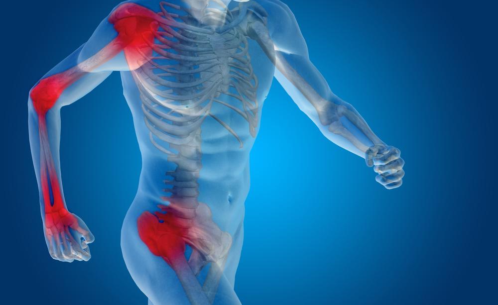 spirulina antinfiammatoria